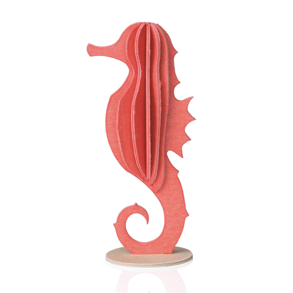 lovi seahorse coral