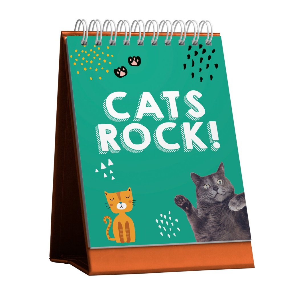 extraordinary Easel cat rocks by the happy book company