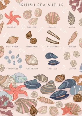 sea shells card by heart of a garden